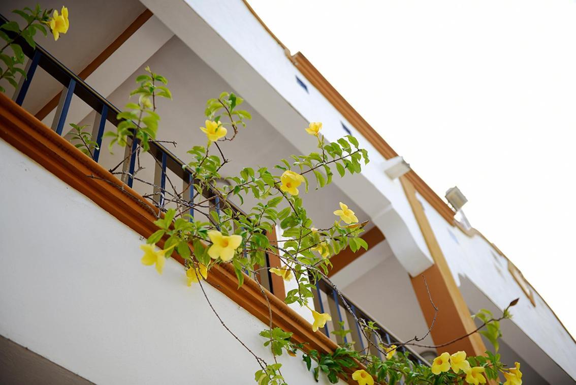 Hotel Mt Tulum Zewnętrze zdjęcie